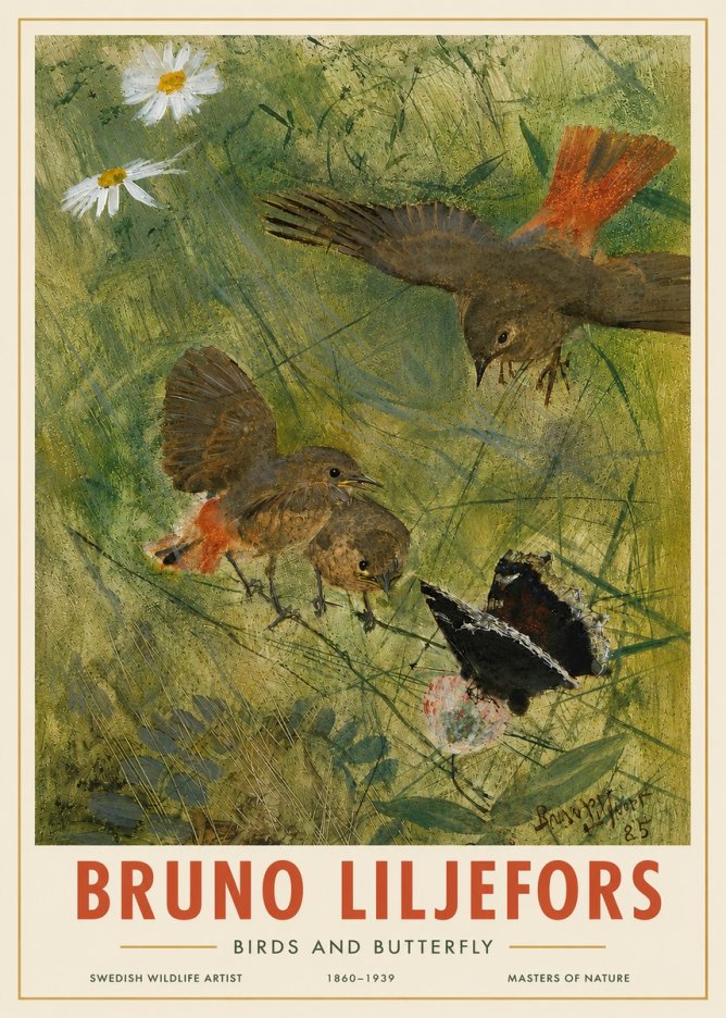Bruno Liljefors Birds and Butterfly No4 - Póster