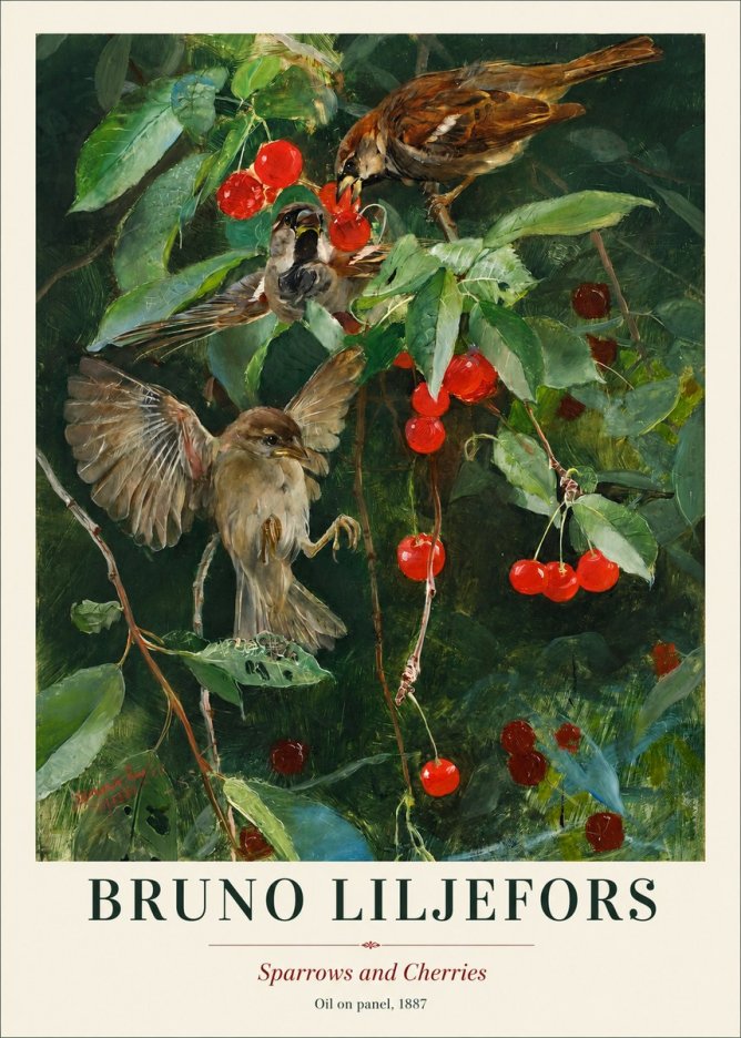Bruno Liljefors Sparrows and Cherries No1 - Póster