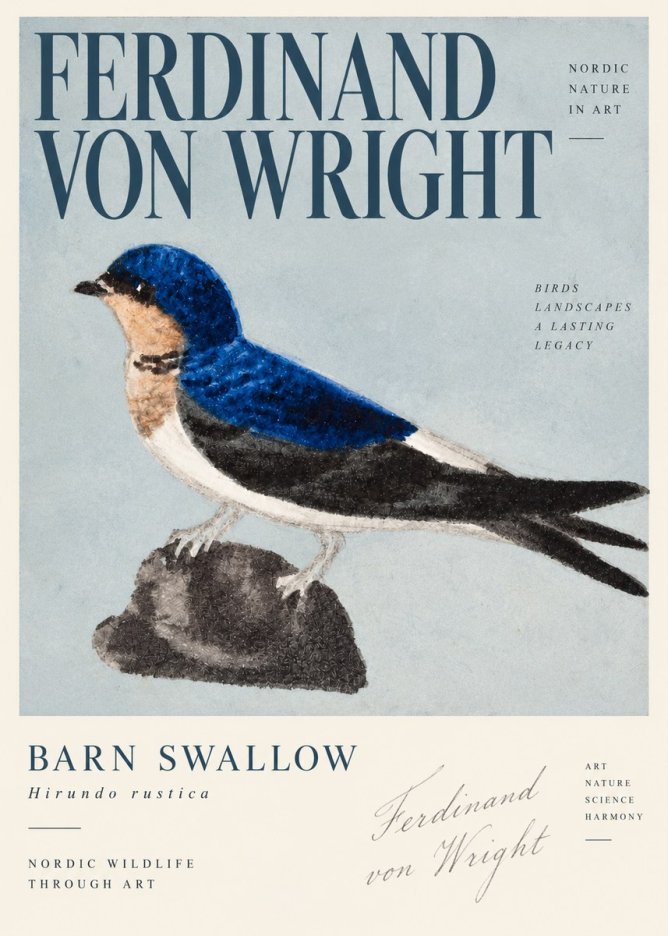 Ferdinand von Wright Swallow (Hirundo Rustica) No4 - Póster