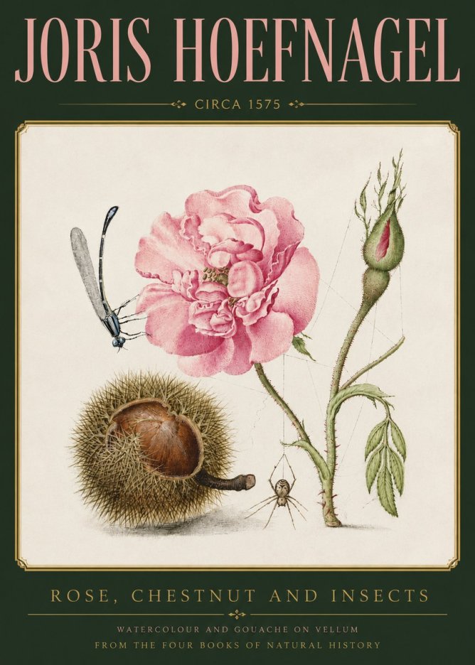 Joris Hoefnagel Rose, Chestnut and Insects No3 - Póster