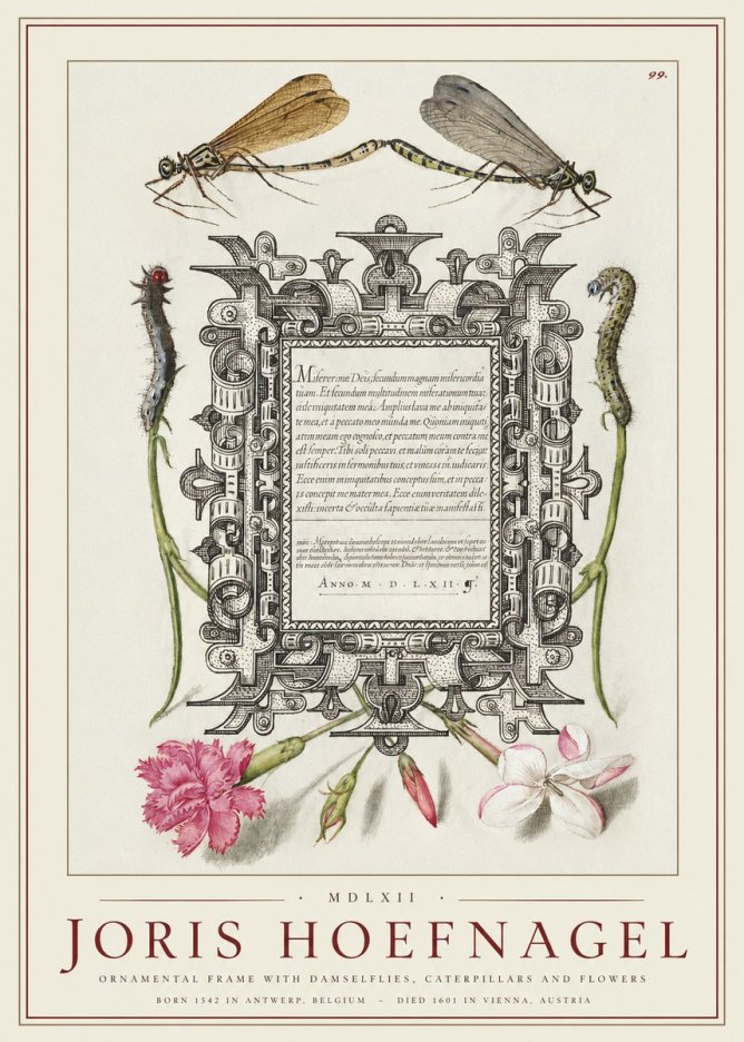 Joris Hoefnagel Ornamental Frame with Damselflies, Caterpillars and Flowers No1 - Póster