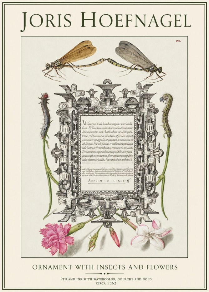 Joris Hoefnagel Ornamental Frame with Damselflies, Caterpillars and Flowers No2 - Póster
