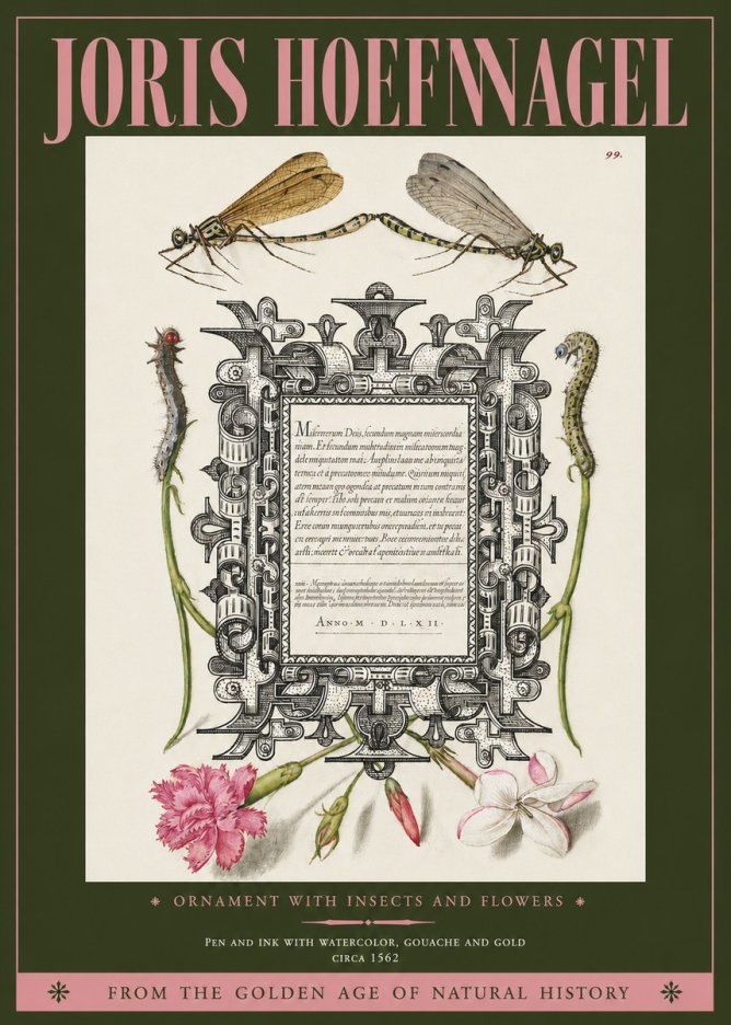 Joris Hoefnagel Ornamental Frame with Damselflies, Caterpillars and Flowers No4 - Póster