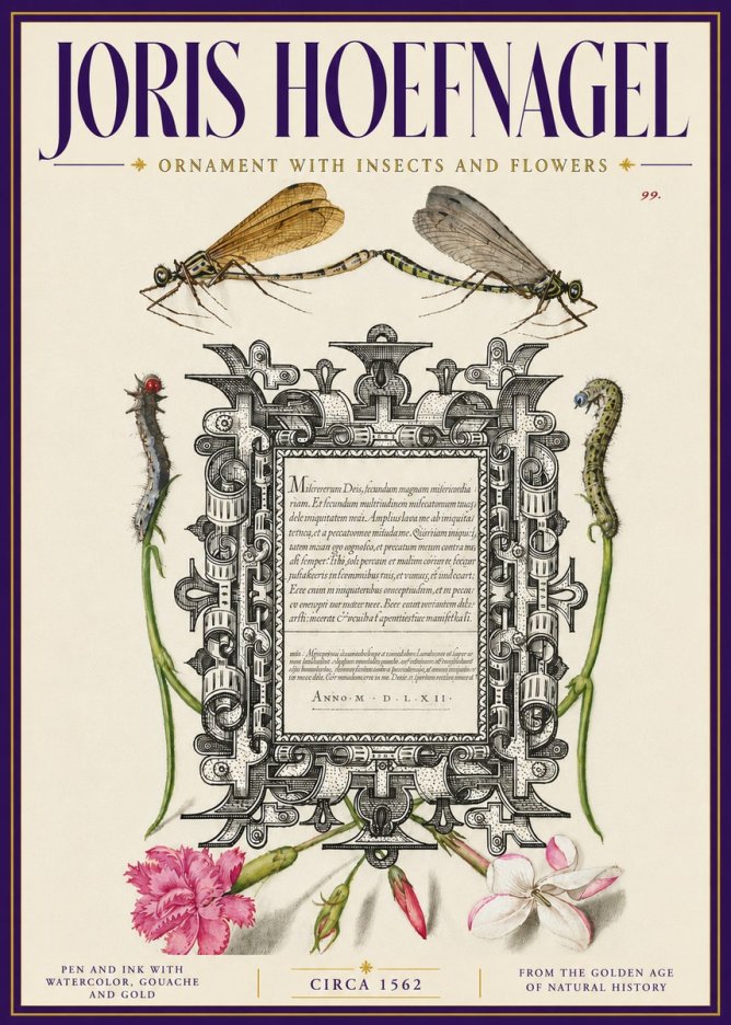 Joris Hoefnagel Ornamental Frame with Damselflies, Caterpillars and Flowers No6 - Póster