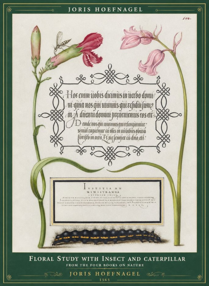 Joris Hoefnagel Floral Study with Insect and Caterpillar No1 - Póster