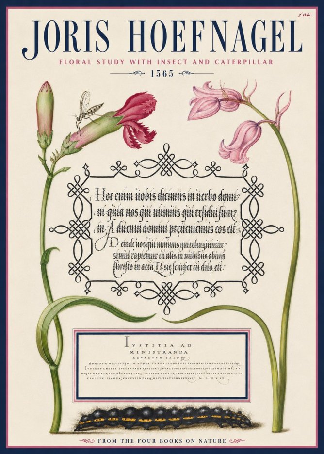 Joris Hoefnagel Floral Study with Insect and Caterpillar No4 - Póster