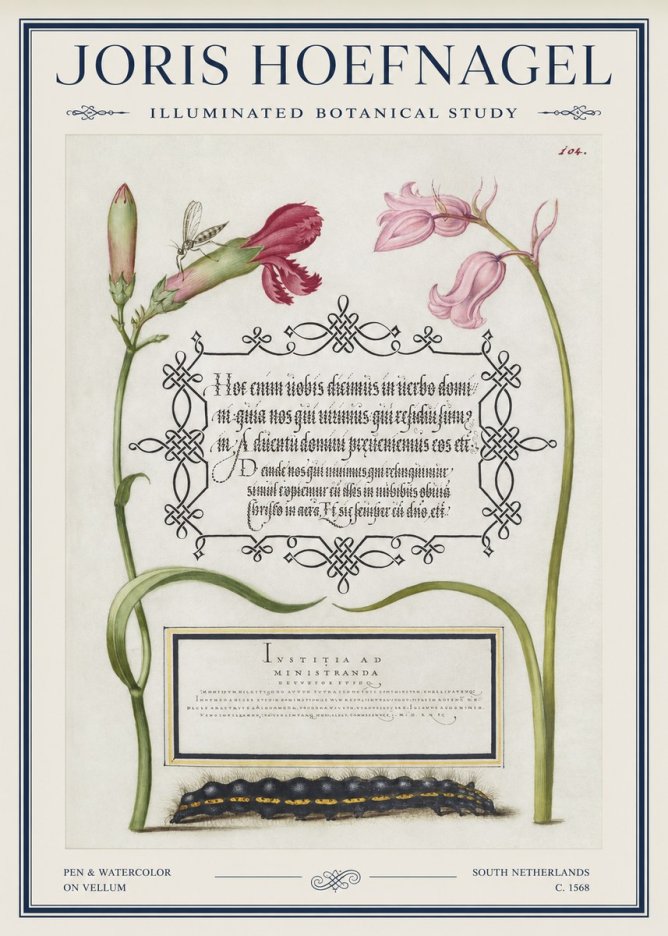 Joris Hoefnagel Floral Study with Insect and Caterpillar No5 - Póster