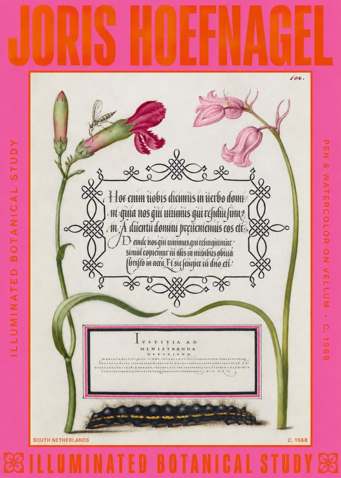 Joris Hoefnagel Floral Study with Insect and Caterpillar No6 - Póster