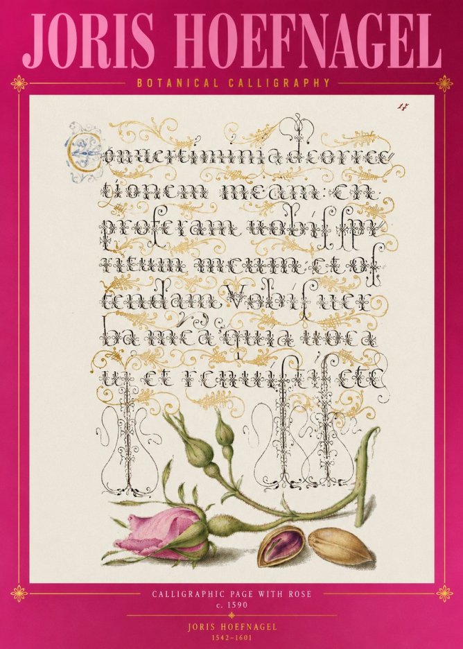Joris Hoefnagel Calligraphic Page with Rose No2 - Póster