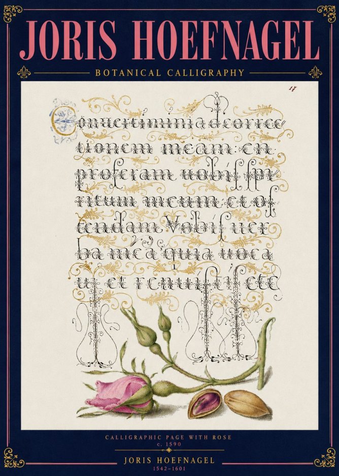 Joris Hoefnagel Calligraphic Page with Rose No4 - Póster