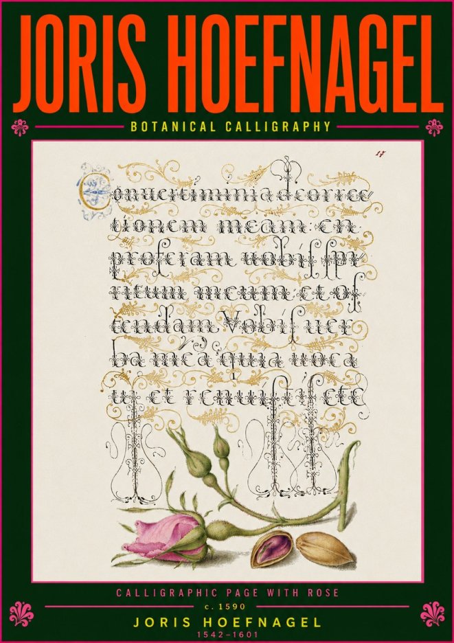 Joris Hoefnagel Calligraphic Page with Rose No5 - Póster