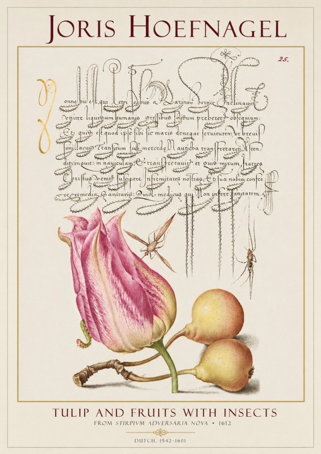 Joris Hoefnagel Tulip and Fruits with Insects No1 - Póster