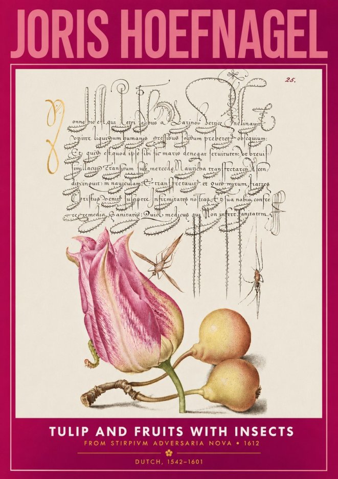 Joris Hoefnagel Tulip and Fruits with Insects No2 - Póster