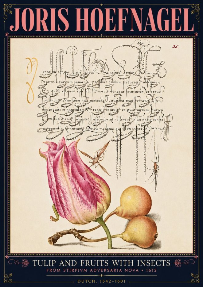 Joris Hoefnagel Tulip and Fruits with Insects No4 - Póster