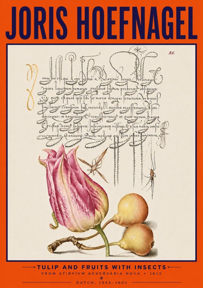 Joris Hoefnagel Tulip and Fruits with Insects No5 - Póster