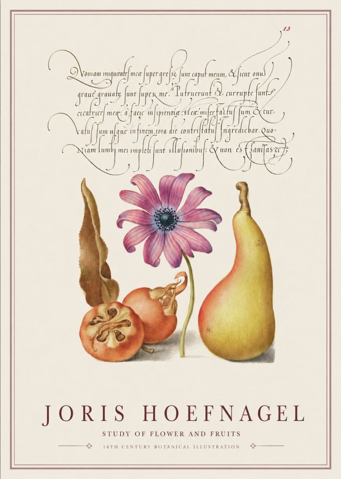 Joris Hoefnagel Study of Flower and Fruits No1 - Póster