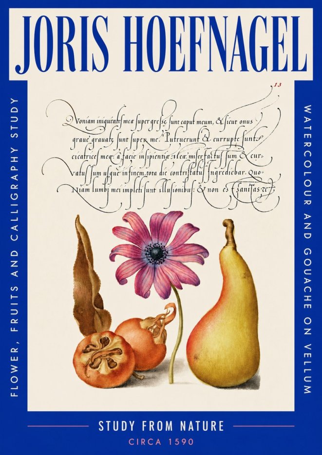 Joris Hoefnagel Study of Flower and Fruits No5 - Póster