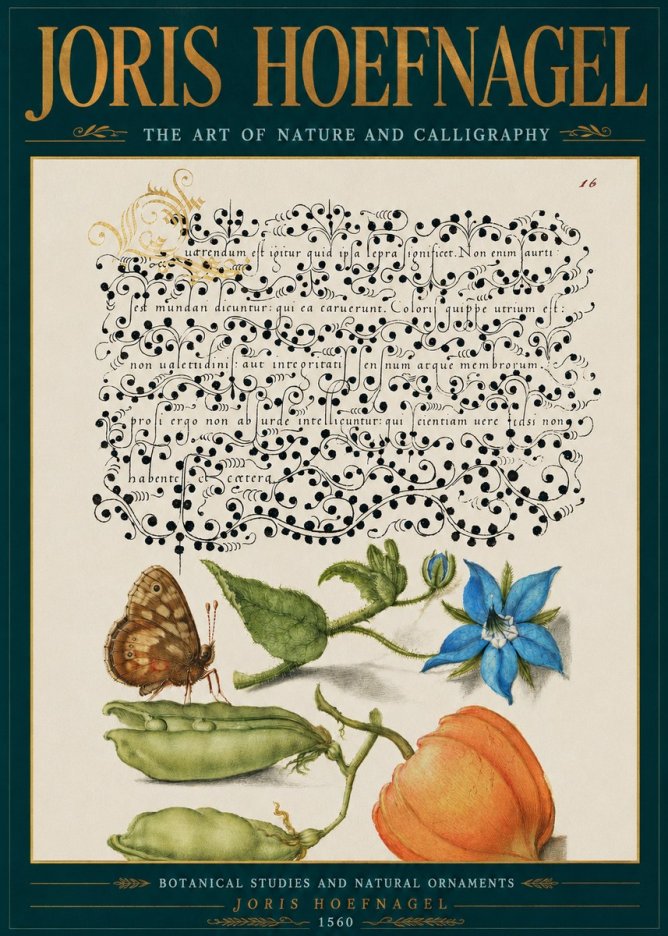 Joris Hoefnagel Study of Plants and Butterfly No5 - Póster