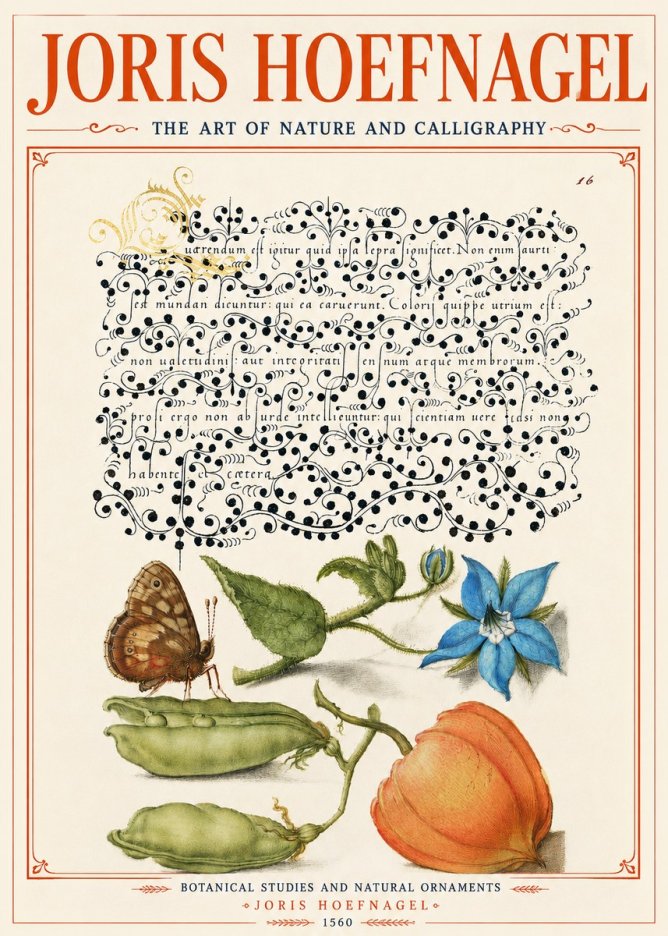 Joris Hoefnagel Study of Plants and Butterfly No6 - Póster