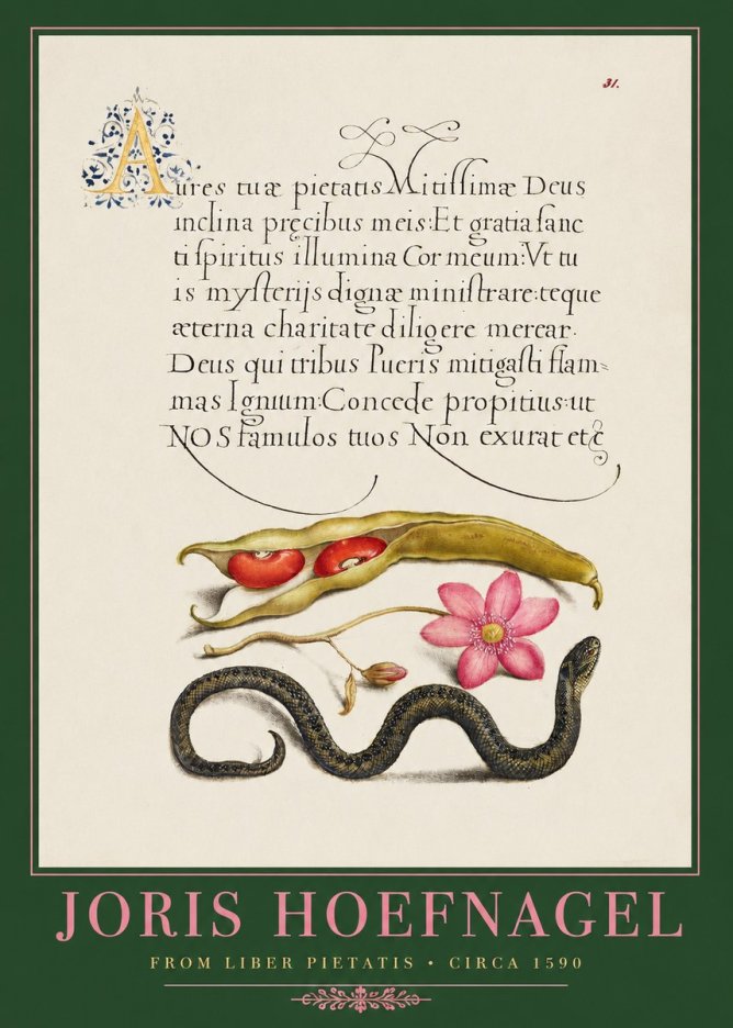 Joris Hoefnagel Prayer for Divine Grace No2 - Póster