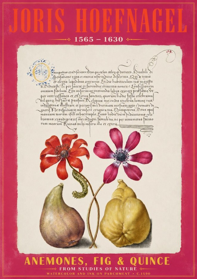 Joris Hoefnagel Flowers and Fruits No3 - Póster