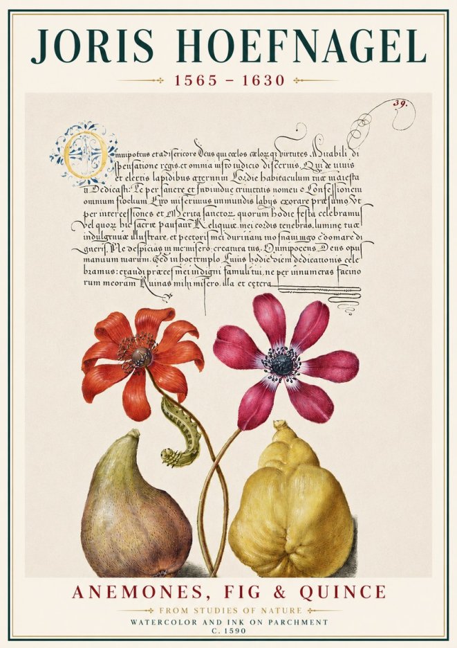 Joris Hoefnagel Flowers and Fruits No4 - Póster