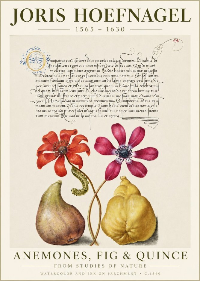 Joris Hoefnagel Flowers and Fruits No6 - Póster