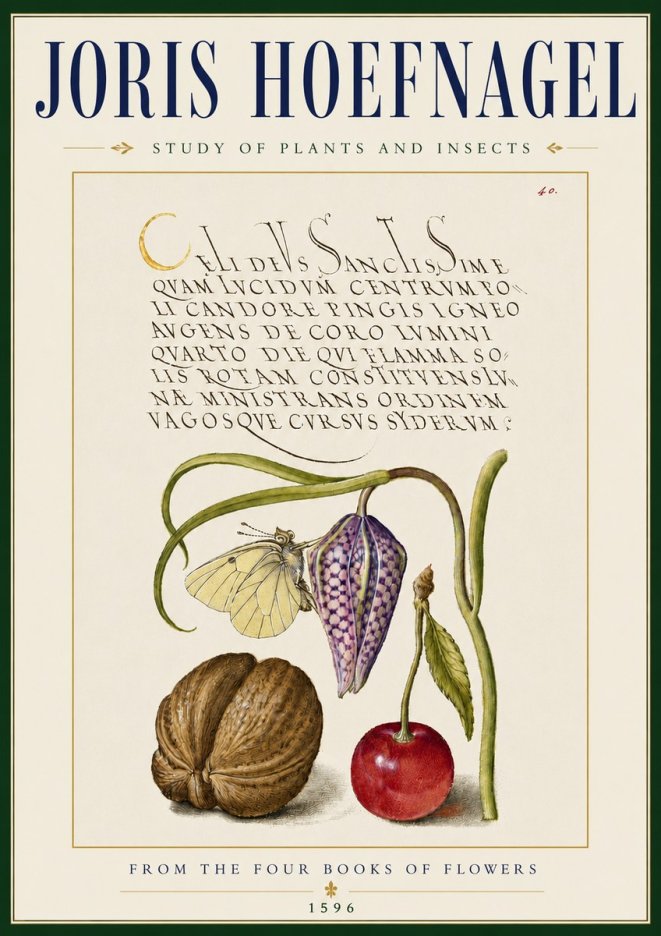 Joris Hoefnagel Study of Plants and Insects No5 - Póster