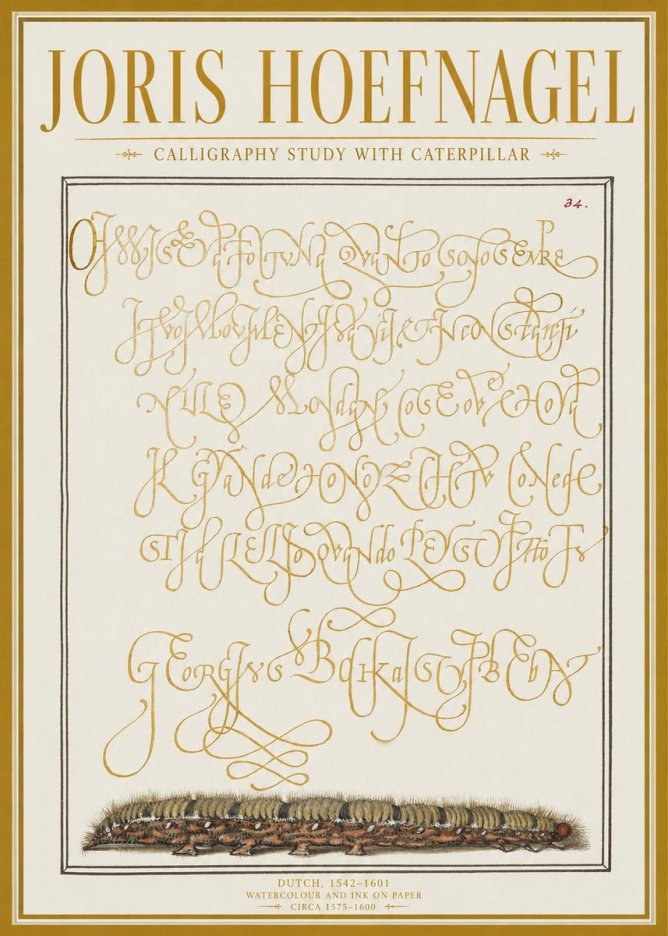 Joris Hoefnagel Calligraphy Study with Caterpillar No1 - Póster