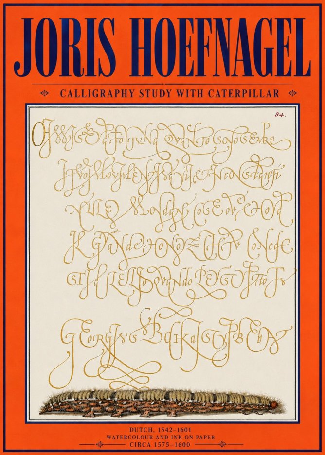 Joris Hoefnagel Calligraphy Study with Caterpillar No4 - Póster