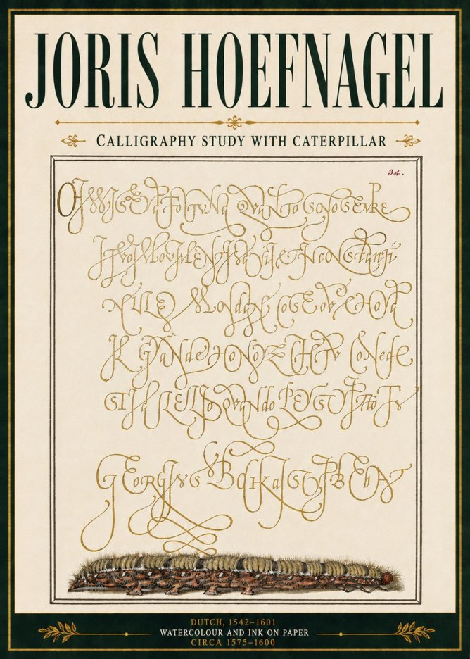 Joris Hoefnagel Calligraphy Study with Caterpillar No5 - Póster