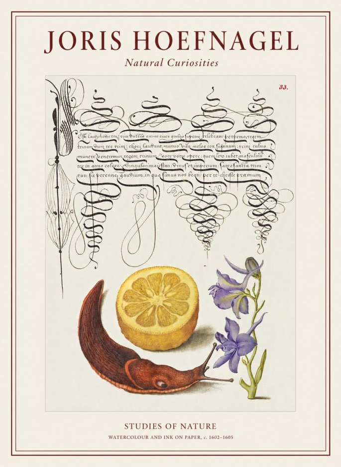 Joris Hoefnagel Studies of Nature No1 - Póster