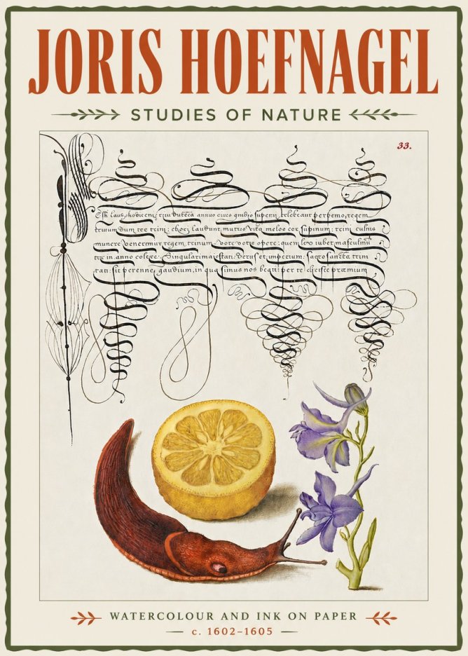 Joris Hoefnagel Studies of Nature No4 - Póster