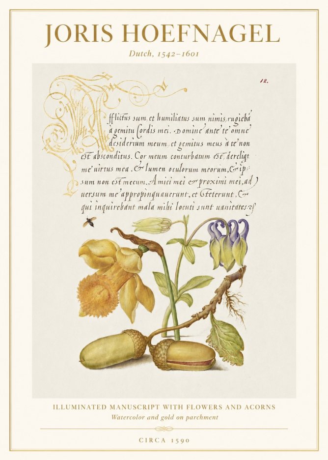 Joris Hoefnagel Illuminated Manuscript with Flowers and Acorns No1 - Póster