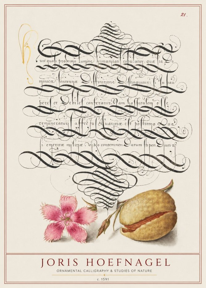 Joris Hoefnagel Ornamental Calligraphy & Studies of Nature No1 - Póster