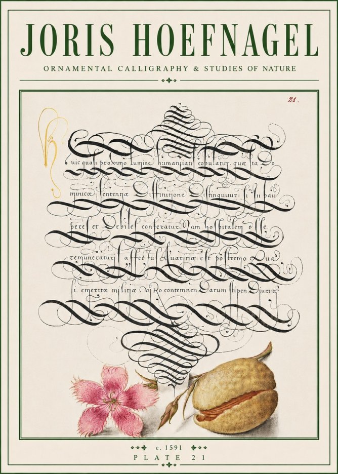 Joris Hoefnagel Ornamental Calligraphy & Studies of Nature No4 - Póster