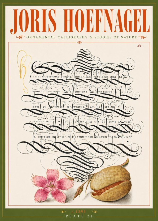 Joris Hoefnagel Ornamental Calligraphy & Studies of Nature No6 - Póster