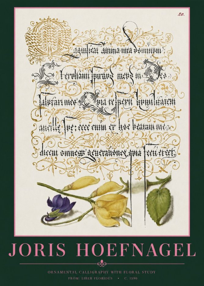 Joris Hoefnagel Ornamental Calligraphy with Floral Study No2 - Póster