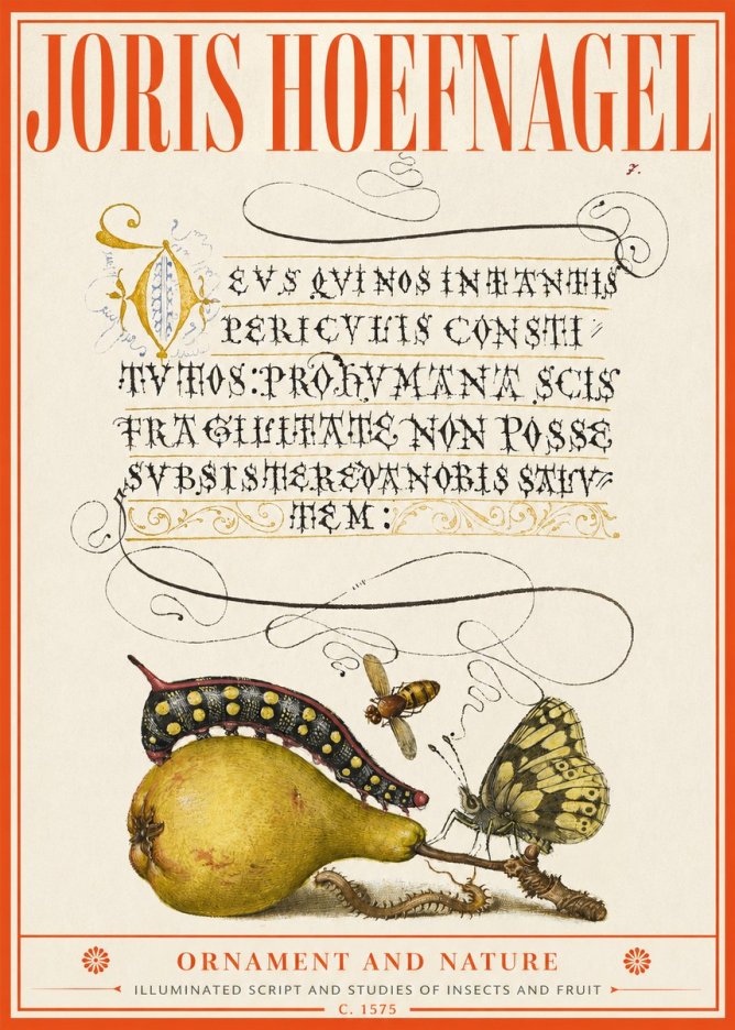 Joris Hoefnagel Ornament and Nature - Illuminated Script and Studies of Insects and Fruit No2 - Póster