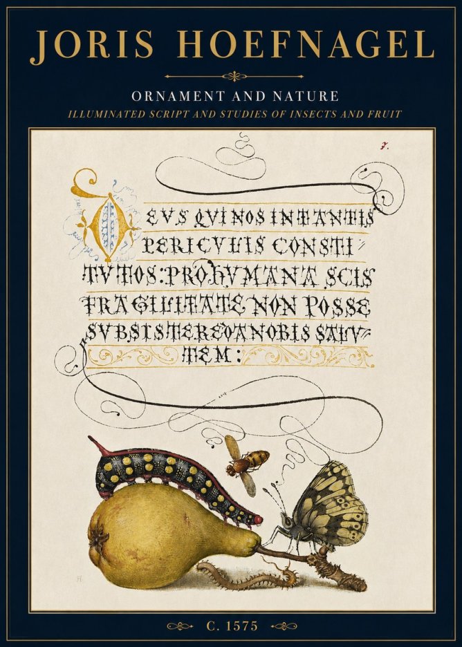 Joris Hoefnagel Ornament and Nature - Illuminated Script and Studies of Insects and Fruit No3 - Póster
