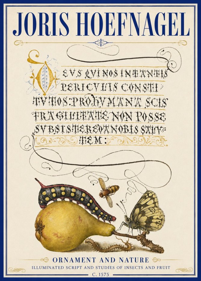 Joris Hoefnagel Ornament and Nature - Illuminated Script and Studies of Insects and Fruit No5 - Póster