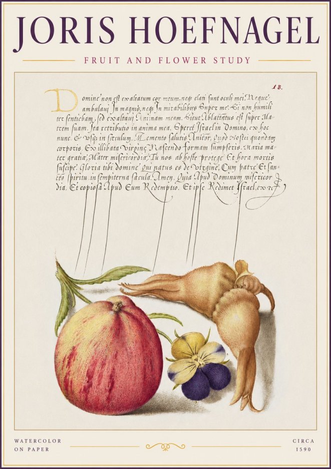 Joris Hoefnagel Fruit and Flower Study No2 - Póster