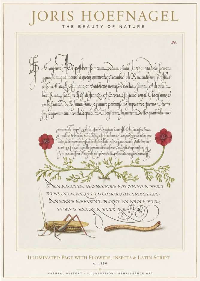 Joris Hoefnagel Illuminated Page with Flowers, Insects & Latin Script No1 - Póster