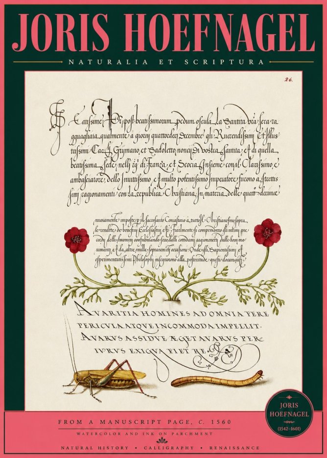 Joris Hoefnagel Illuminated Page with Flowers, Insects & Latin Script No3 - Póster