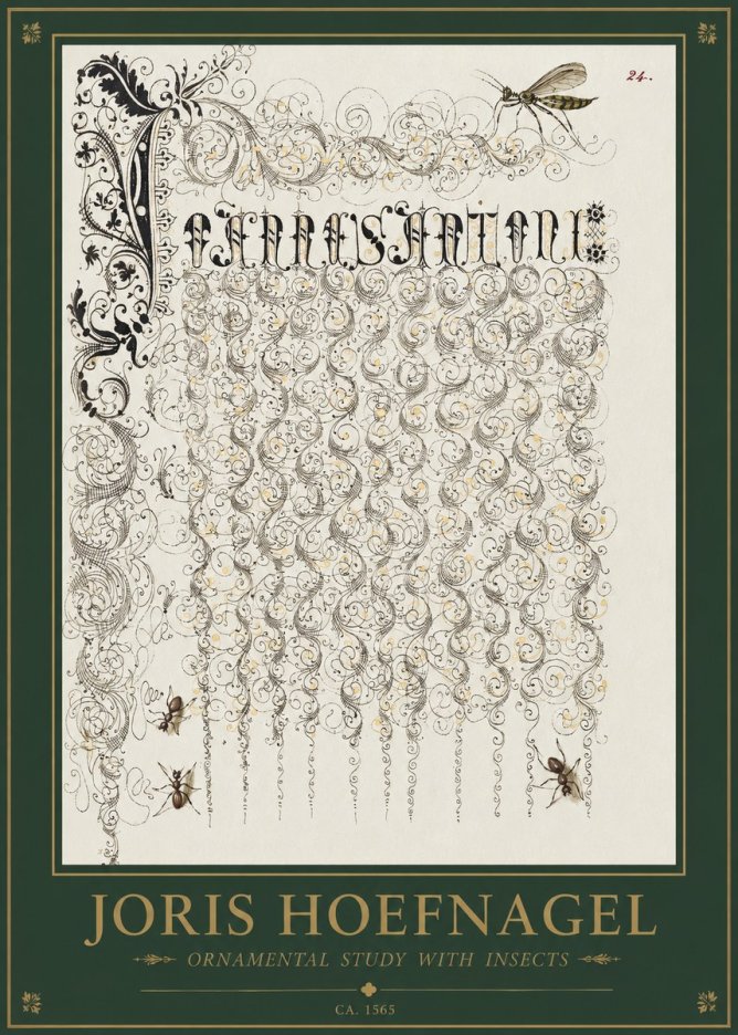 Joris Hoefnagel Ornamental Study with Insects No1 - Póster