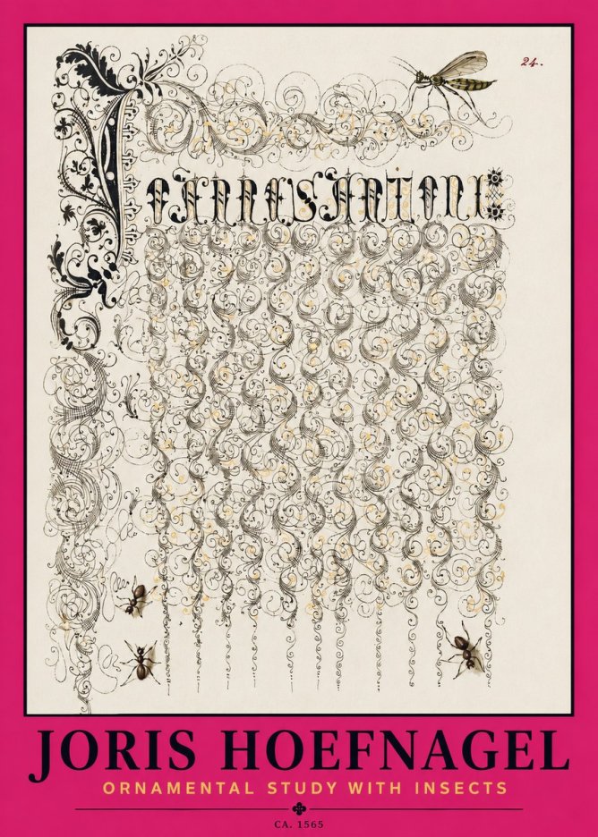 Joris Hoefnagel Ornamental Study with Insects No2 - Póster