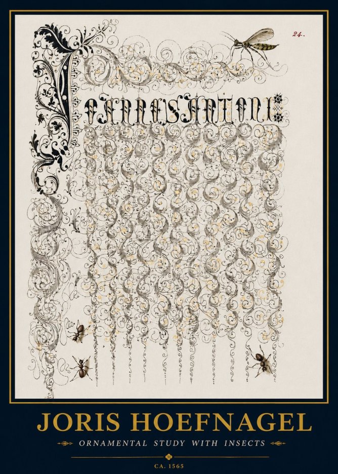 Joris Hoefnagel Ornamental Study with Insects No3 - Póster
