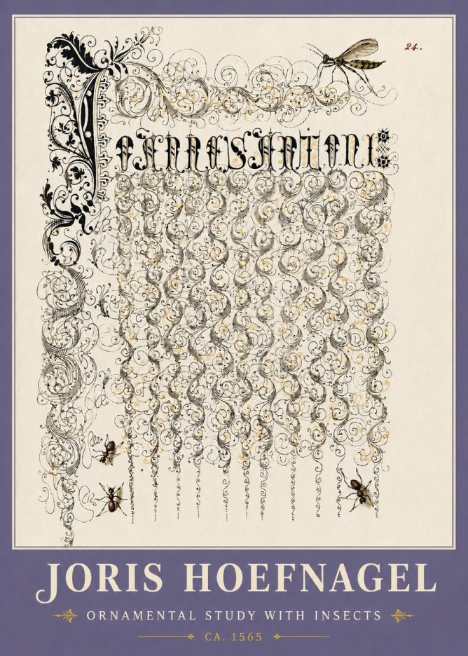 Joris Hoefnagel Ornamental Study with Insects No6 - Póster