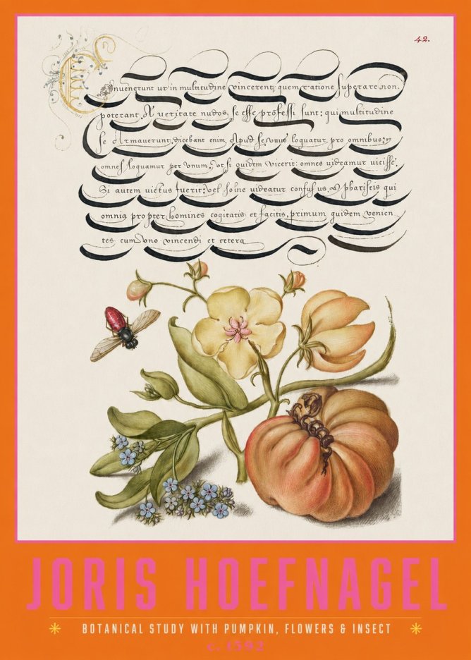 Joris Hoefnagel Botanical Study with Pumpkin, Flowers & Insect No2 - Póster