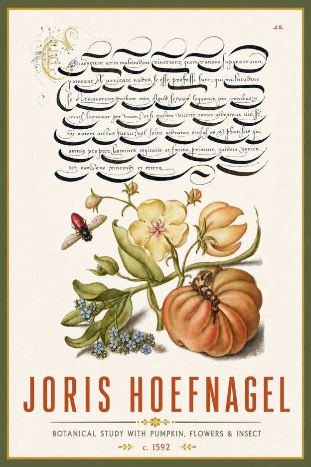 Joris Hoefnagel Botanical Study with Pumpkin, Flowers & Insect No4 - Póster